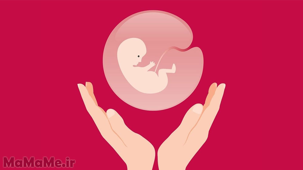آیا از دست دادن جنین، پایان مادری است؟